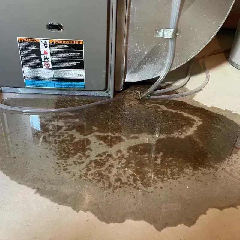 Appliance Leak Cleanup in Redlands, CO